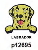 Inspired by Dog Shoe Charm's
