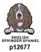 Inspired by Dog Shoe Charm's