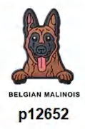 Inspired by Dog Shoe Charm's