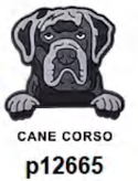 Inspired by Dog Shoe Charm's
