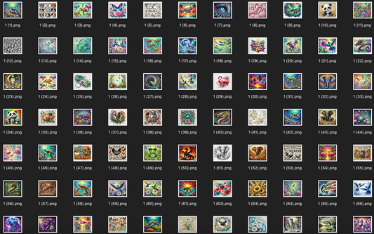 527 Digital File's