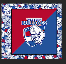 Impresiones por sublimación del equipo ALF